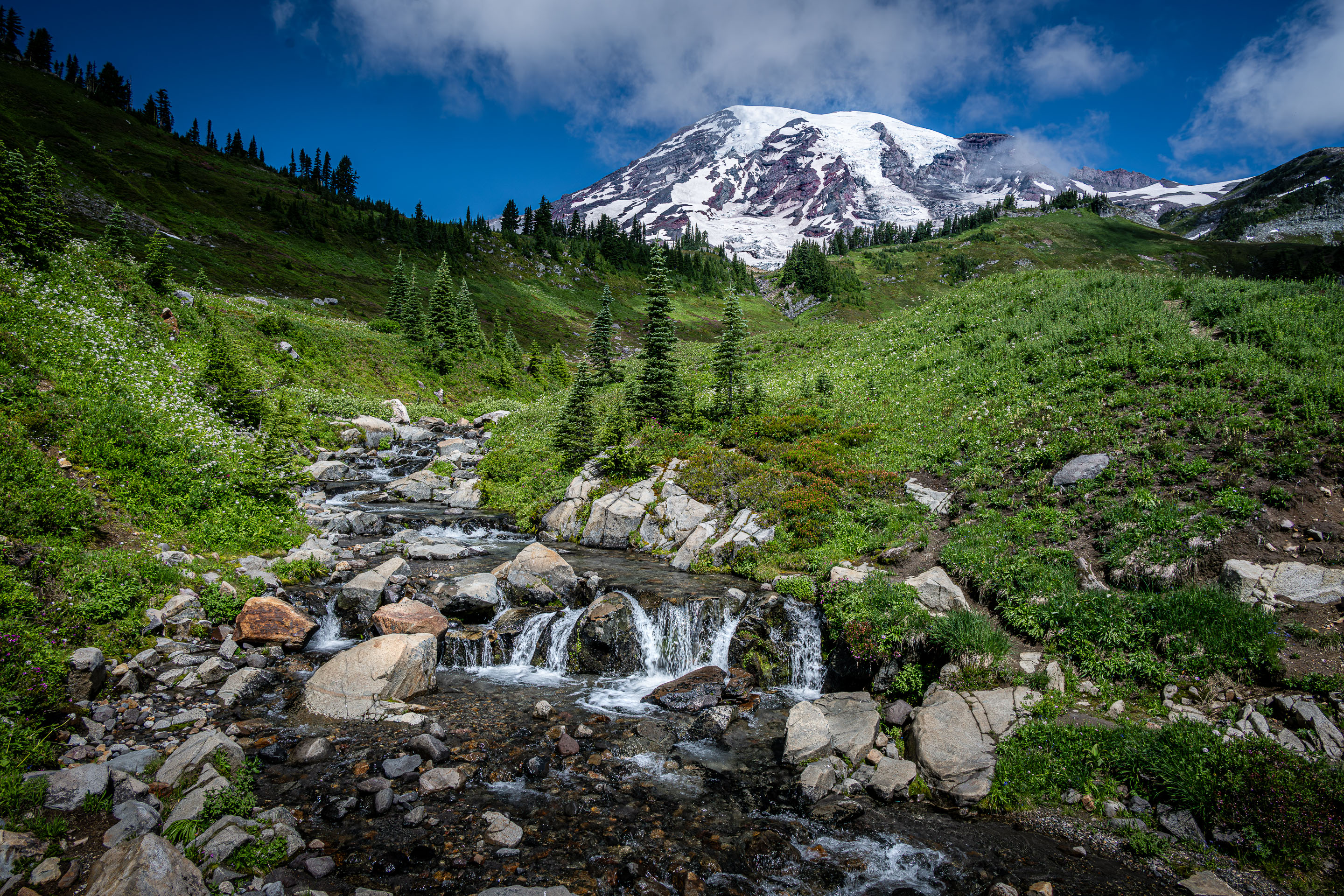 3rd PrizeMulti-Scape In Class 3 By Douglas Strande For Mount Rainier NOV-2024.jpg